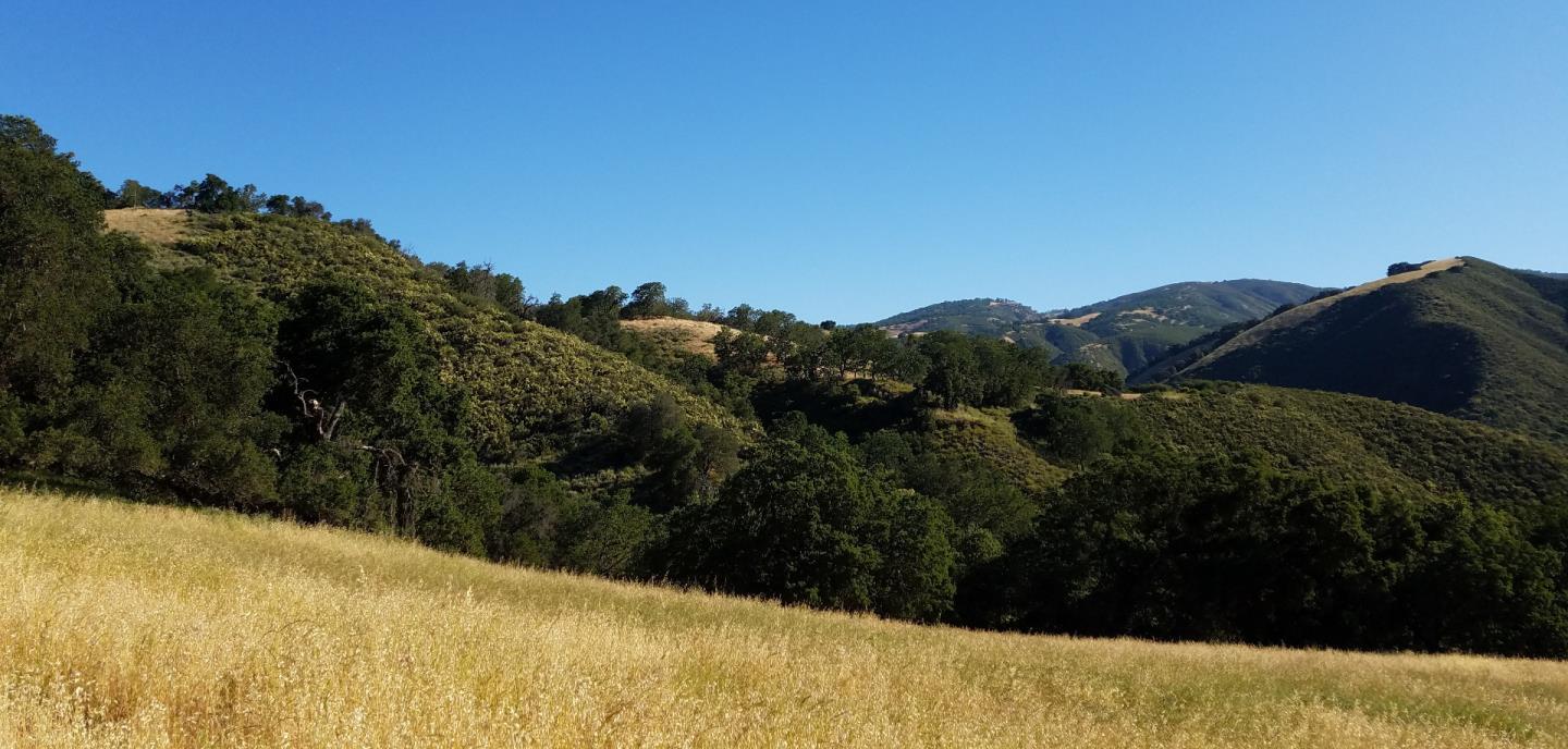 0 EAST CARMEL VALLEY ROAD, CARMEL VALLEY, California 93924, ,Lots And Land,For Sale,EAST CARMEL VALLEY ROAD,40962170