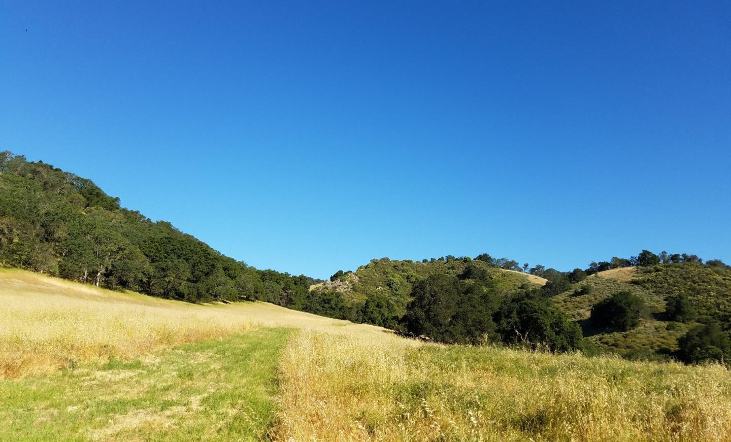 0 EAST CARMEL VALLEY ROAD, CARMEL VALLEY, California 93924, ,Lots And Land,For Sale,EAST CARMEL VALLEY ROAD,40962170