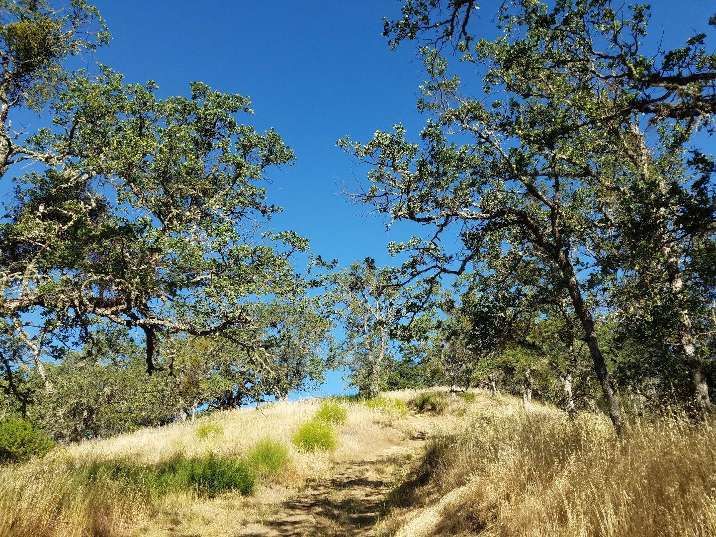 0 EAST CARMEL VALLEY ROAD, CARMEL VALLEY, California 93924, ,Lots And Land,For Sale,EAST CARMEL VALLEY ROAD,40962170