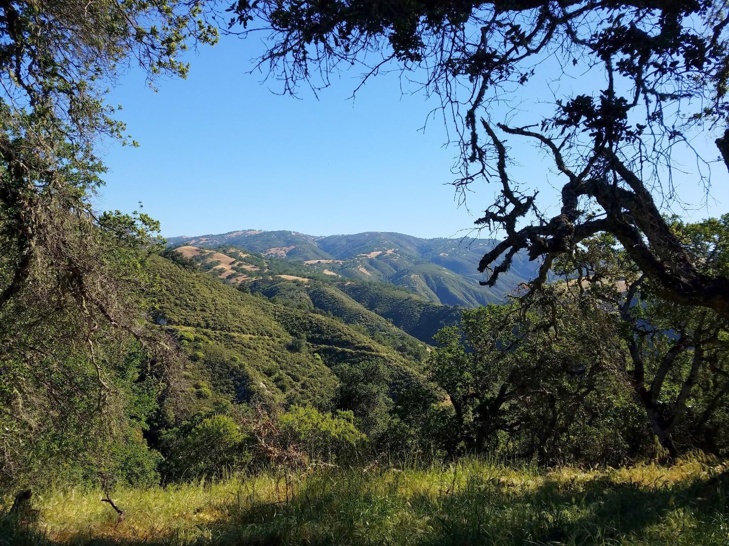 0 EAST CARMEL VALLEY ROAD, CARMEL VALLEY, California 93924, ,Lots And Land,For Sale,EAST CARMEL VALLEY ROAD,40962170
