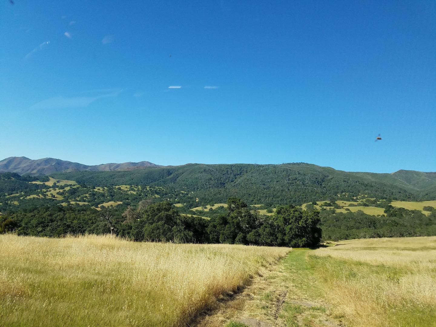 0 EAST CARMEL VALLEY ROAD, CARMEL VALLEY, California 93924, ,Lots And Land,For Sale,EAST CARMEL VALLEY ROAD,40962170