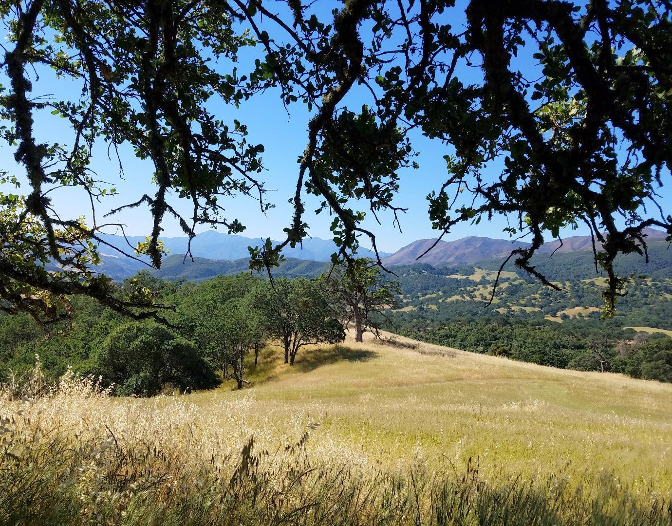 0 EAST CARMEL VALLEY ROAD, CARMEL VALLEY, California 93924, ,Lots And Land,For Sale,EAST CARMEL VALLEY ROAD,40962170