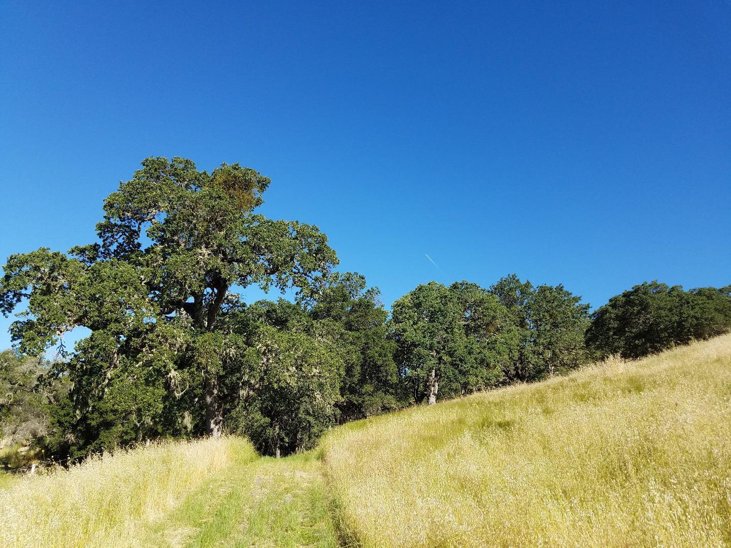 0 EAST CARMEL VALLEY ROAD, CARMEL VALLEY, California 93924, ,Lots And Land,For Sale,EAST CARMEL VALLEY ROAD,40962170