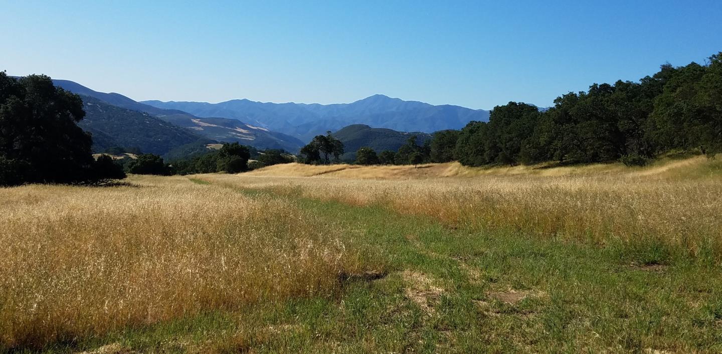 0 EAST CARMEL VALLEY ROAD, CARMEL VALLEY, California 93924, ,Lots And Land,For Sale,EAST CARMEL VALLEY ROAD,40962170