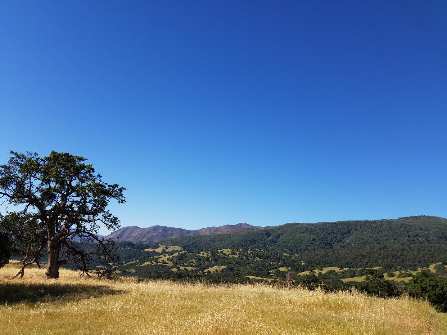 0 EAST CARMEL VALLEY ROAD, CARMEL VALLEY, California 93924, ,Lots And Land,For Sale,EAST CARMEL VALLEY ROAD,40962170