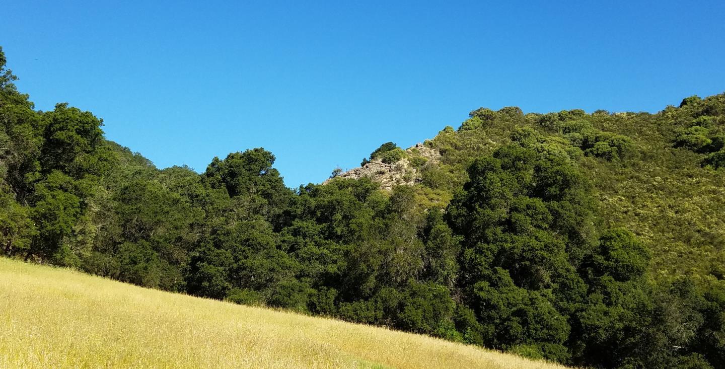 0 EAST CARMEL VALLEY ROAD, CARMEL VALLEY, California 93924, ,Lots And Land,For Sale,EAST CARMEL VALLEY ROAD,40962170