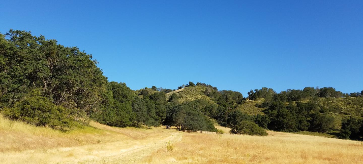 0 EAST CARMEL VALLEY ROAD, CARMEL VALLEY, California 93924, ,Lots And Land,For Sale,EAST CARMEL VALLEY ROAD,40962170