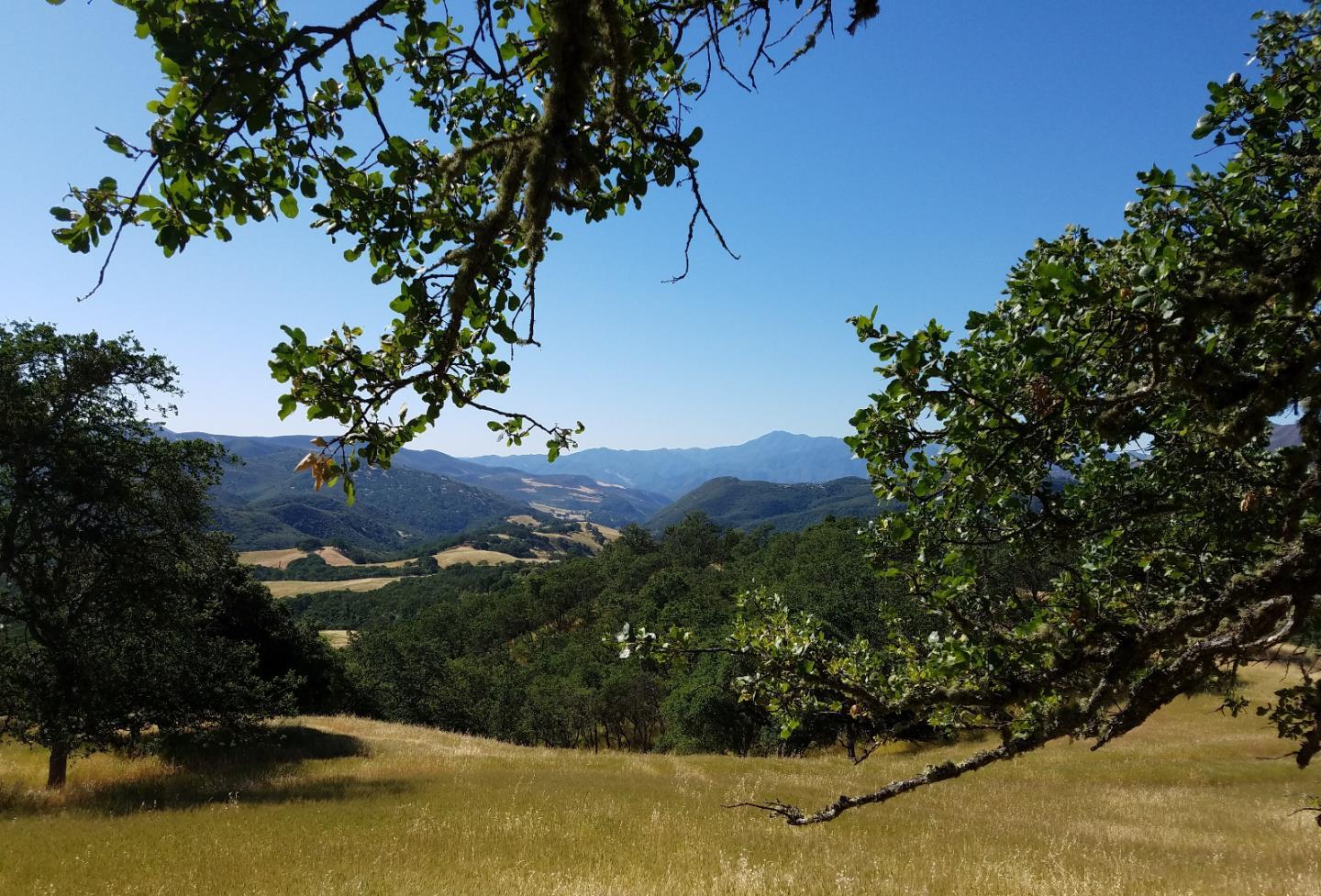 0 EAST CARMEL VALLEY ROAD, CARMEL VALLEY, California 93924, ,Lots And Land,For Sale,EAST CARMEL VALLEY ROAD,40962170