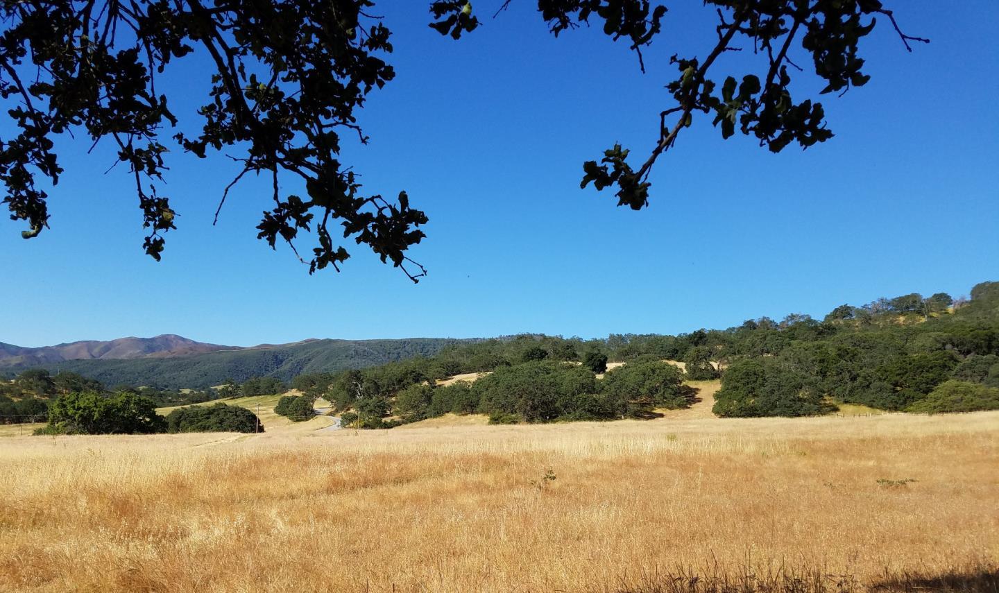 0 EAST CARMEL VALLEY ROAD, CARMEL VALLEY, California 93924, ,Lots And Land,For Sale,EAST CARMEL VALLEY ROAD,40962170