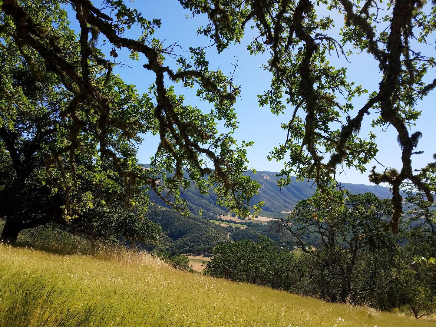 0 EAST CARMEL VALLEY ROAD, CARMEL VALLEY, California 93924, ,Lots And Land,For Sale,EAST CARMEL VALLEY ROAD,40962170