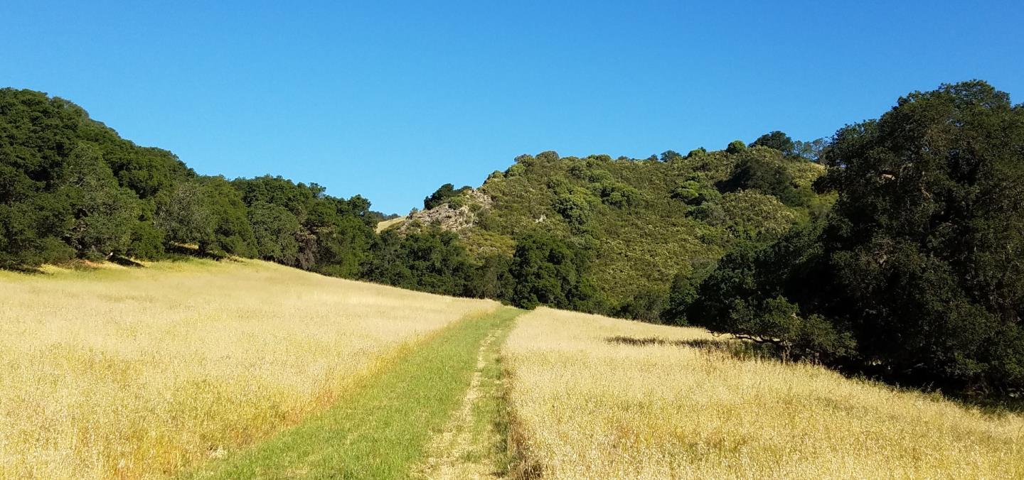 0 EAST CARMEL VALLEY ROAD, CARMEL VALLEY, California 93924, ,Lots And Land,For Sale,EAST CARMEL VALLEY ROAD,40962170