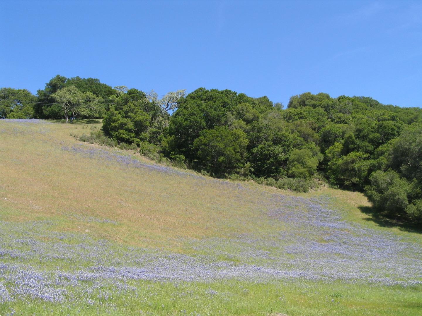 0 EAST CARMEL VALLEY ROAD, CARMEL VALLEY, California 93924, ,Lots And Land,For Sale,EAST CARMEL VALLEY ROAD,40962170
