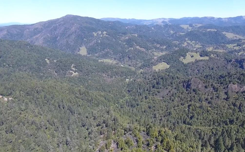 49690 N Highway 1, Laytonville, CA 95454 Sotheby's International