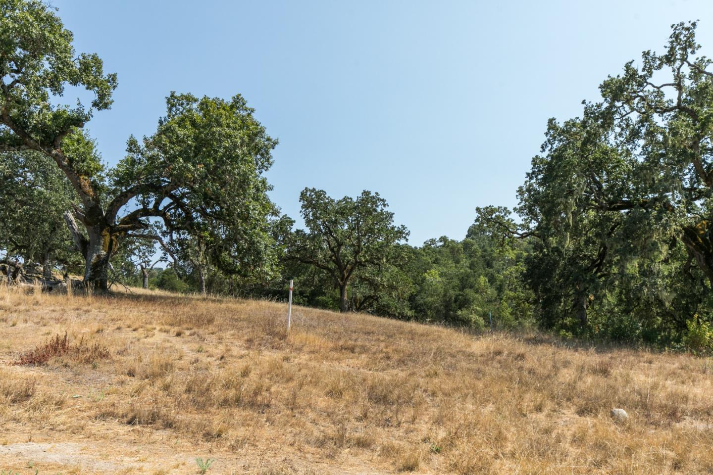 24 Pronghorn Run, CARMEL, California 93923, ,Lots And Land,For Sale,Pronghorn Run,40963600