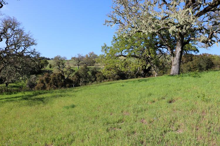 24 Pronghorn Run, CARMEL, California 93923, ,Lots And Land,For Sale,Pronghorn Run,40963600
