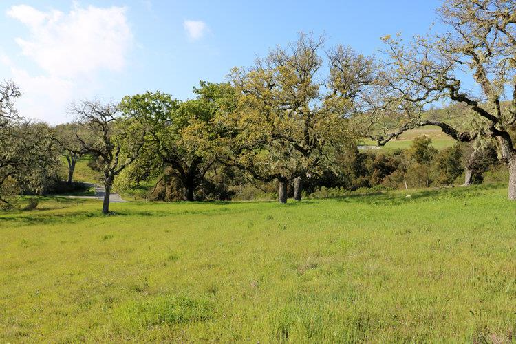 24 Pronghorn Run, CARMEL, California 93923, ,Lots And Land,For Sale,Pronghorn Run,40963600