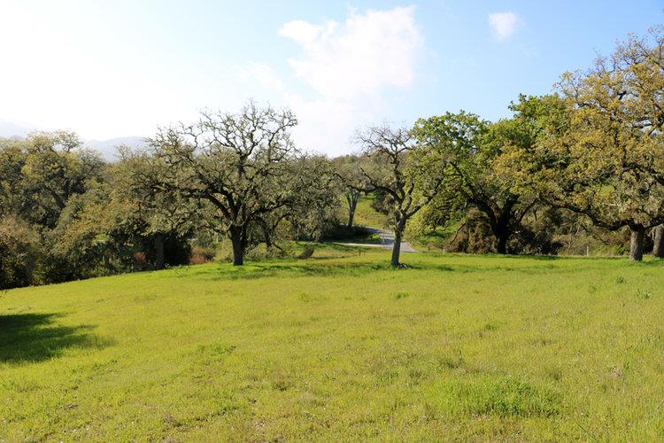 24 Pronghorn Run, CARMEL, California 93923, ,Lots And Land,For Sale,Pronghorn Run,40963600