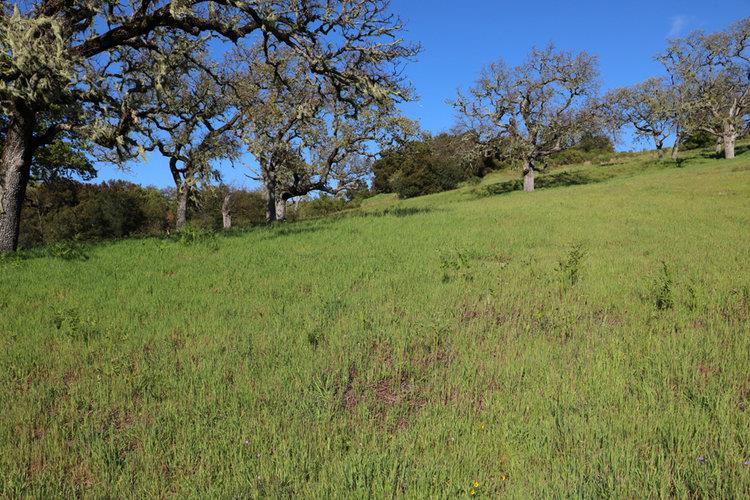 24 Pronghorn Run, CARMEL, California 93923, ,Lots And Land,For Sale,Pronghorn Run,40963600