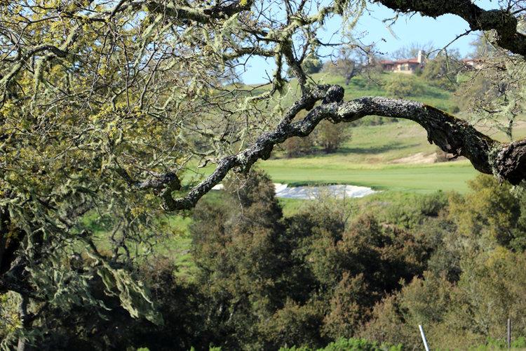 24 Pronghorn Run, CARMEL, California 93923, ,Lots And Land,For Sale,Pronghorn Run,40963600