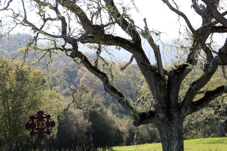 24 Pronghorn Run, CARMEL, California 93923, ,Lots And Land,For Sale,Pronghorn Run,40963600
