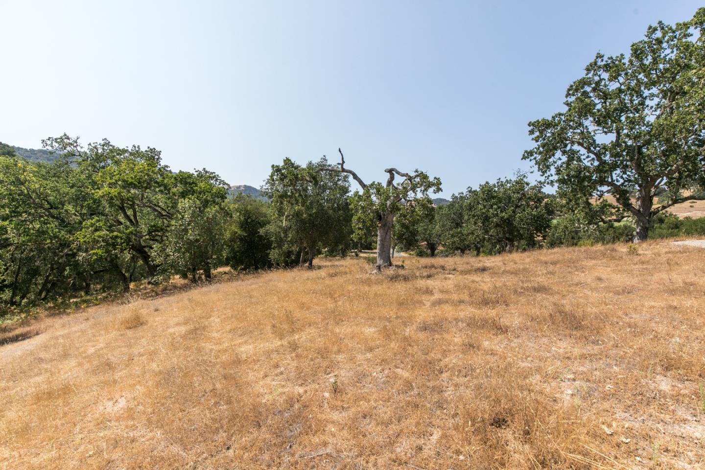24 Pronghorn Run, CARMEL, California 93923, ,Lots And Land,For Sale,Pronghorn Run,40963600