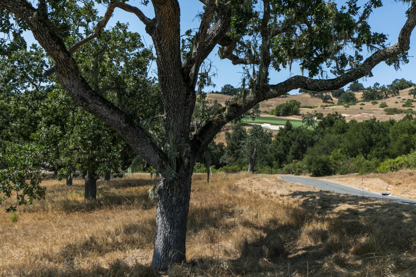 24 Pronghorn Run, CARMEL, California 93923, ,Lots And Land,For Sale,Pronghorn Run,40963600