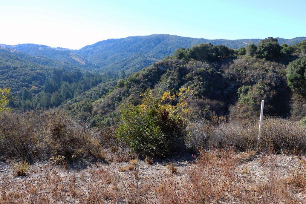 4 Holding Field Run, CARMEL, California 93923, ,Lots And Land,For Sale,Holding Field Run,40963336
