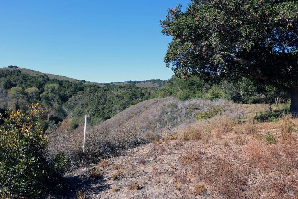 4 Holding Field Run, CARMEL, California 93923, ,Lots And Land,For Sale,Holding Field Run,40963336