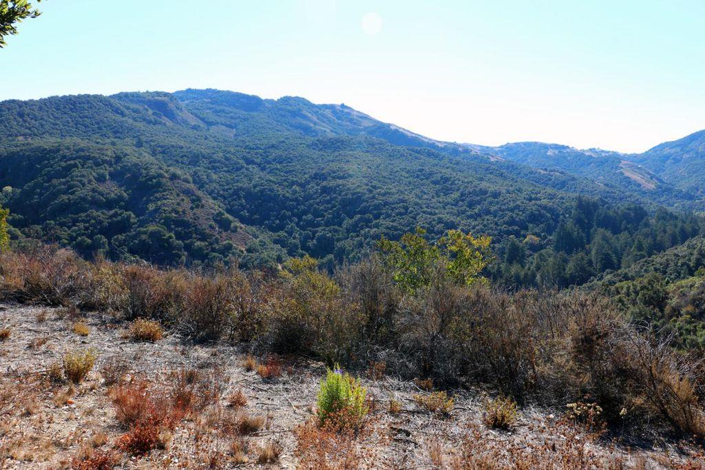 4 Holding Field Run, CARMEL, California 93923, ,Lots And Land,For Sale,Holding Field Run,40963336