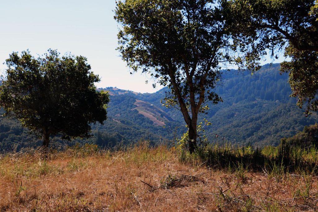 4 Holding Field Run, CARMEL, California 93923, ,Lots And Land,For Sale,Holding Field Run,40963336