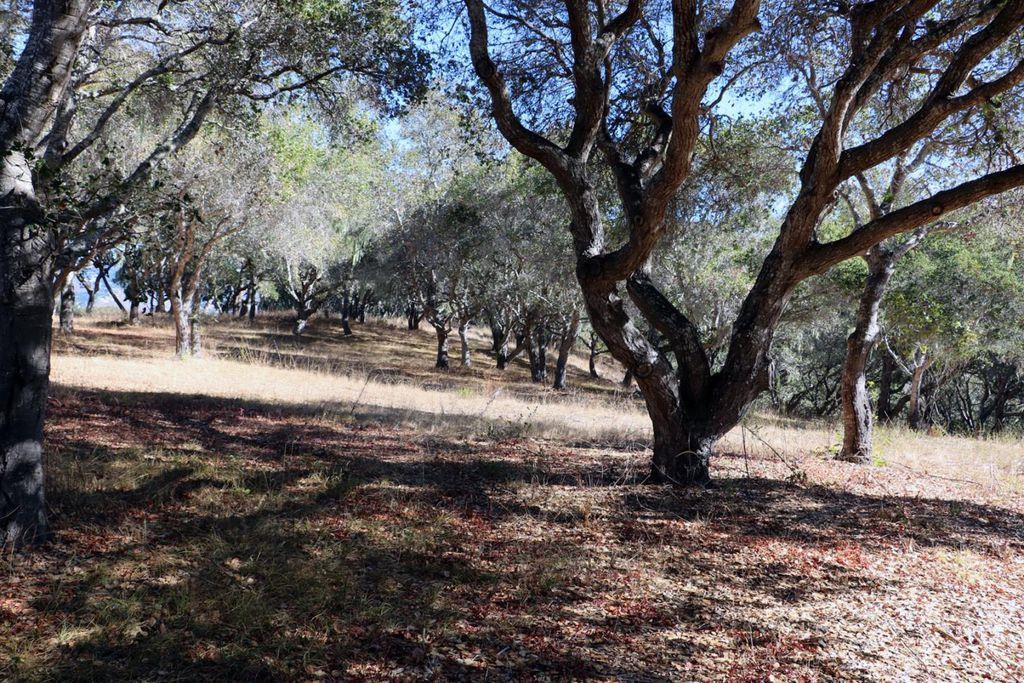 4 Holding Field Run, CARMEL, California 93923, ,Lots And Land,For Sale,Holding Field Run,40963336