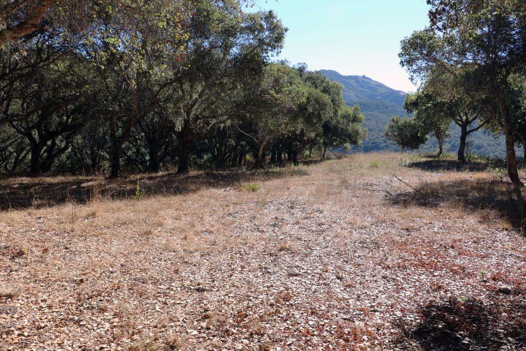 4 Holding Field Run, CARMEL, California 93923, ,Lots And Land,For Sale,Holding Field Run,40963336