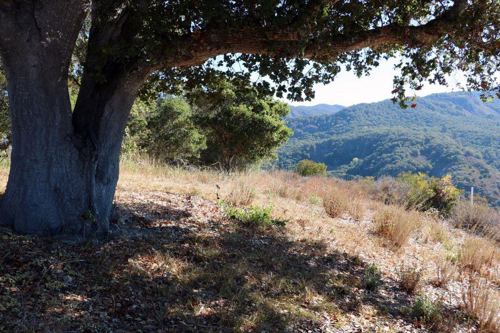 4 Holding Field Run, CARMEL, California 93923, ,Lots And Land,For Sale,Holding Field Run,40963336