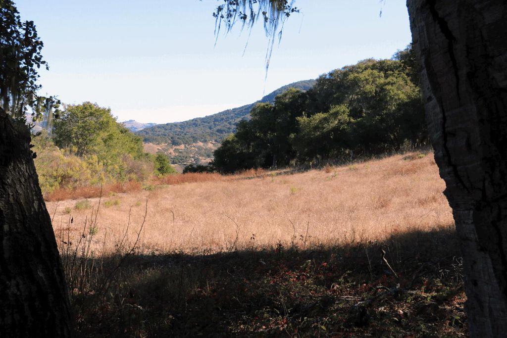 4 Holding Field Run, CARMEL, California 93923, ,Lots And Land,For Sale,Holding Field Run,40963336
