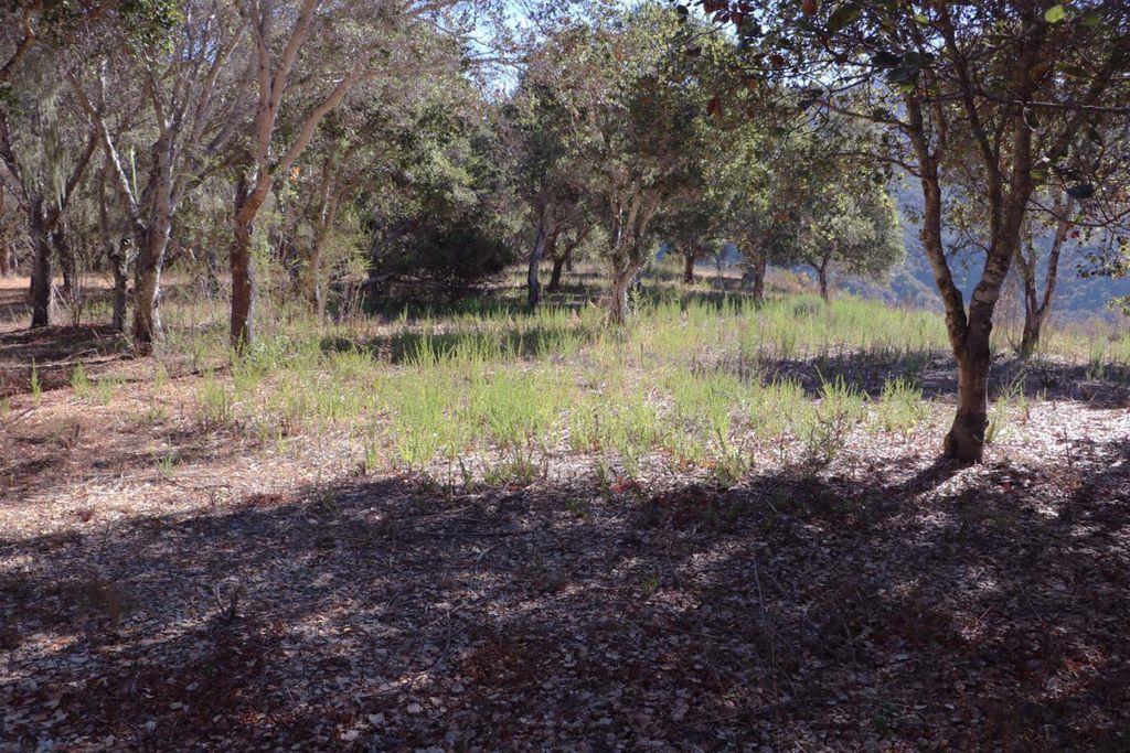 4 Holding Field Run, CARMEL, California 93923, ,Lots And Land,For Sale,Holding Field Run,40963336