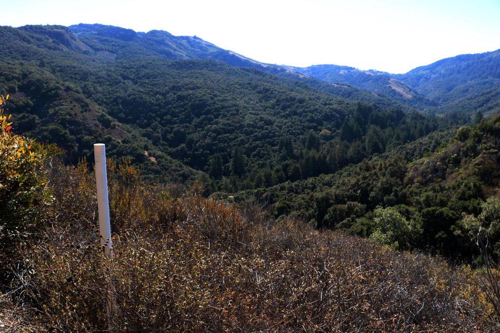 4 Holding Field Run, CARMEL, California 93923, ,Lots And Land,For Sale,Holding Field Run,40963336