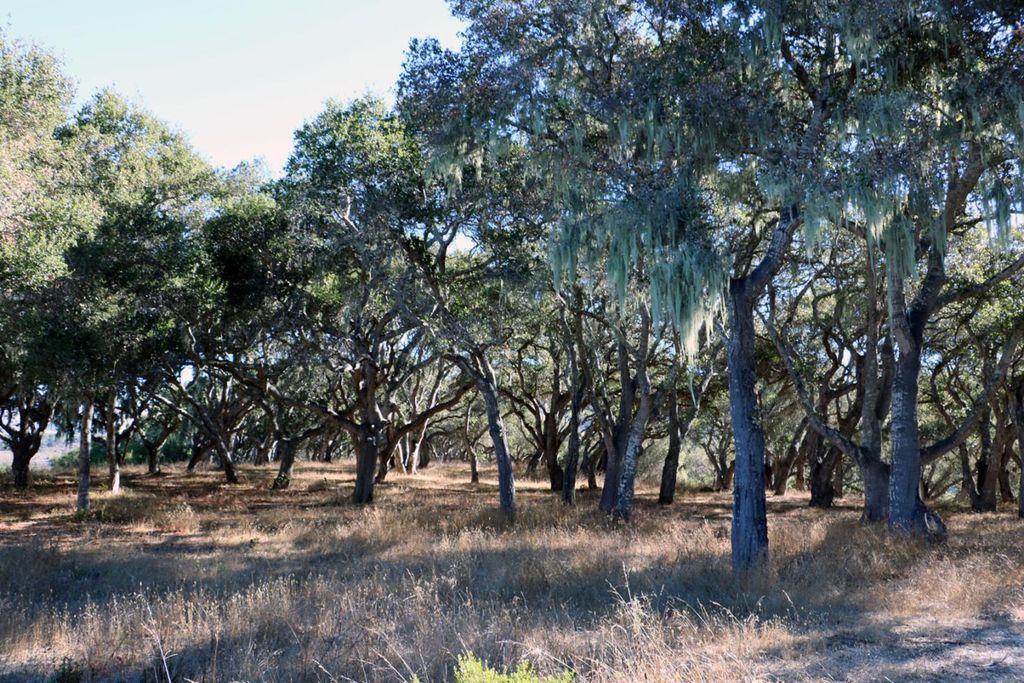 4 Holding Field Run, CARMEL, California 93923, ,Lots And Land,For Sale,Holding Field Run,40963336