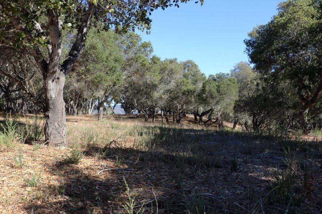 4 Holding Field Run, CARMEL, California 93923, ,Lots And Land,For Sale,Holding Field Run,40963336
