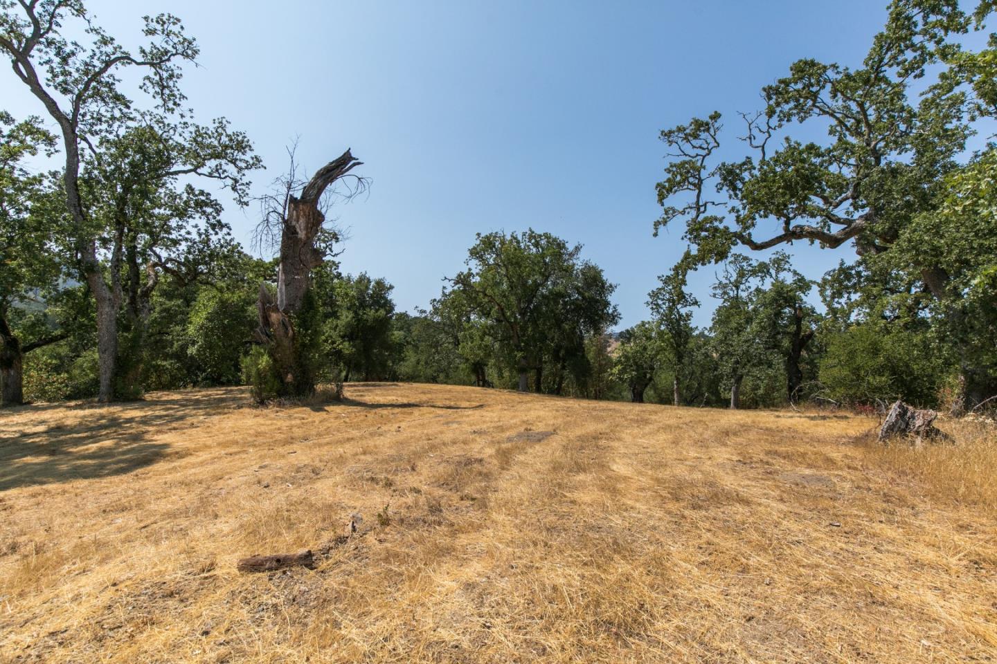 39 Arroyo Sequoia, CARMEL, California 93923, ,Lots And Land,For Sale,Arroyo Sequoia,40963601