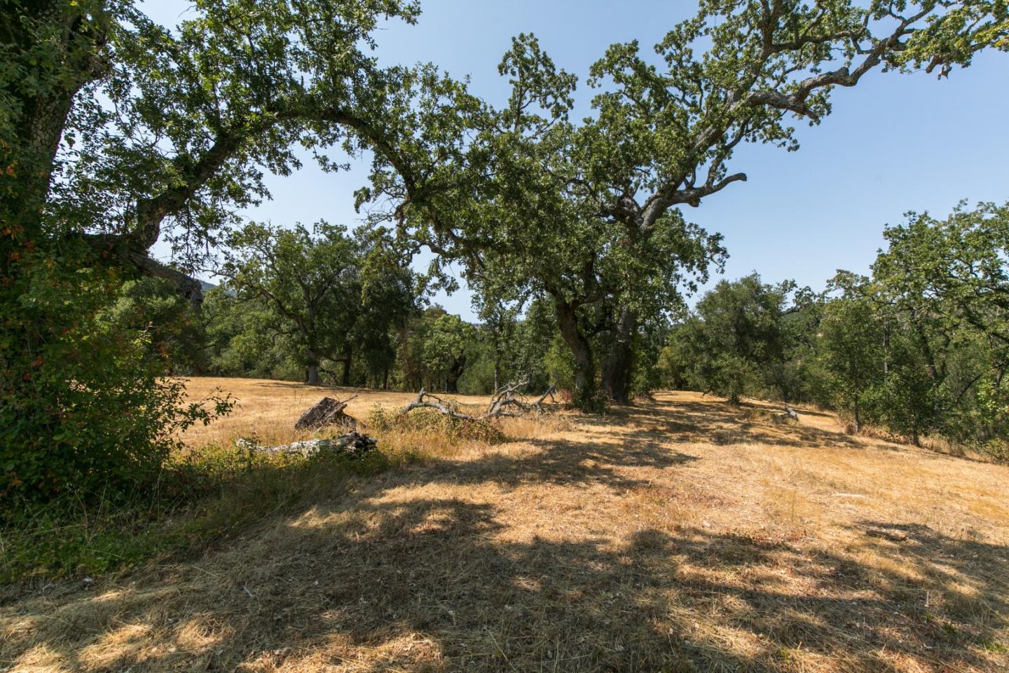 39 Arroyo Sequoia, CARMEL, California 93923, ,Lots And Land,For Sale,Arroyo Sequoia,40963601