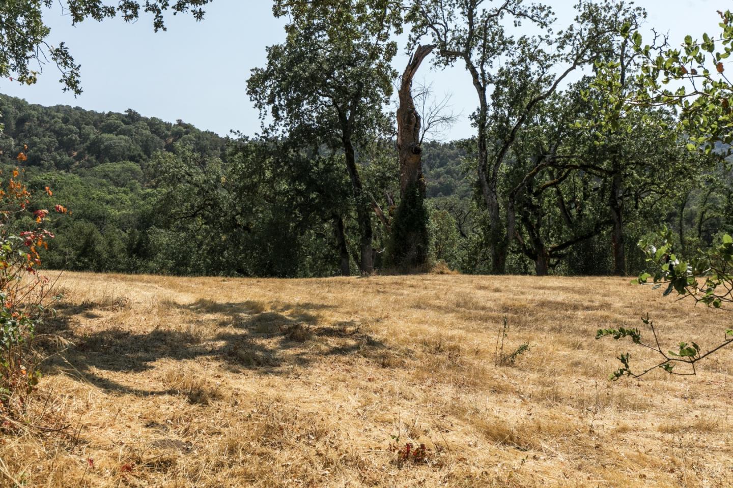 39 Arroyo Sequoia, CARMEL, California 93923, ,Lots And Land,For Sale,Arroyo Sequoia,40963601