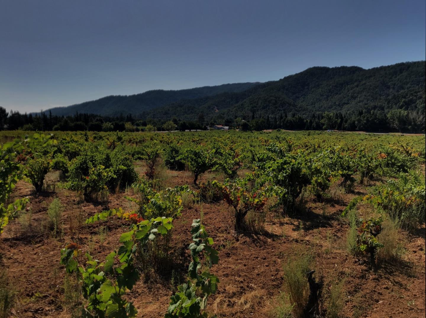 8265 A Watsonville Road, GILROY, California 95020, ,Lots And Land,For Sale,Watsonville Road,40963059