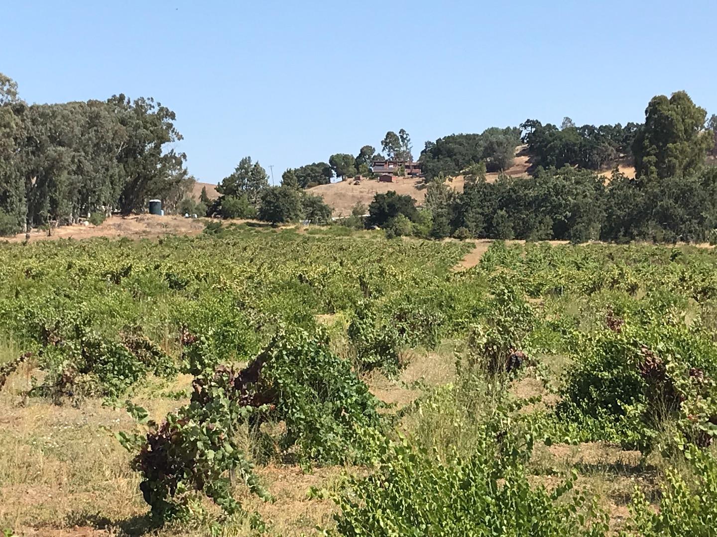 8265 A Watsonville Road, GILROY, California 95020, ,Lots And Land,For Sale,Watsonville Road,40963059