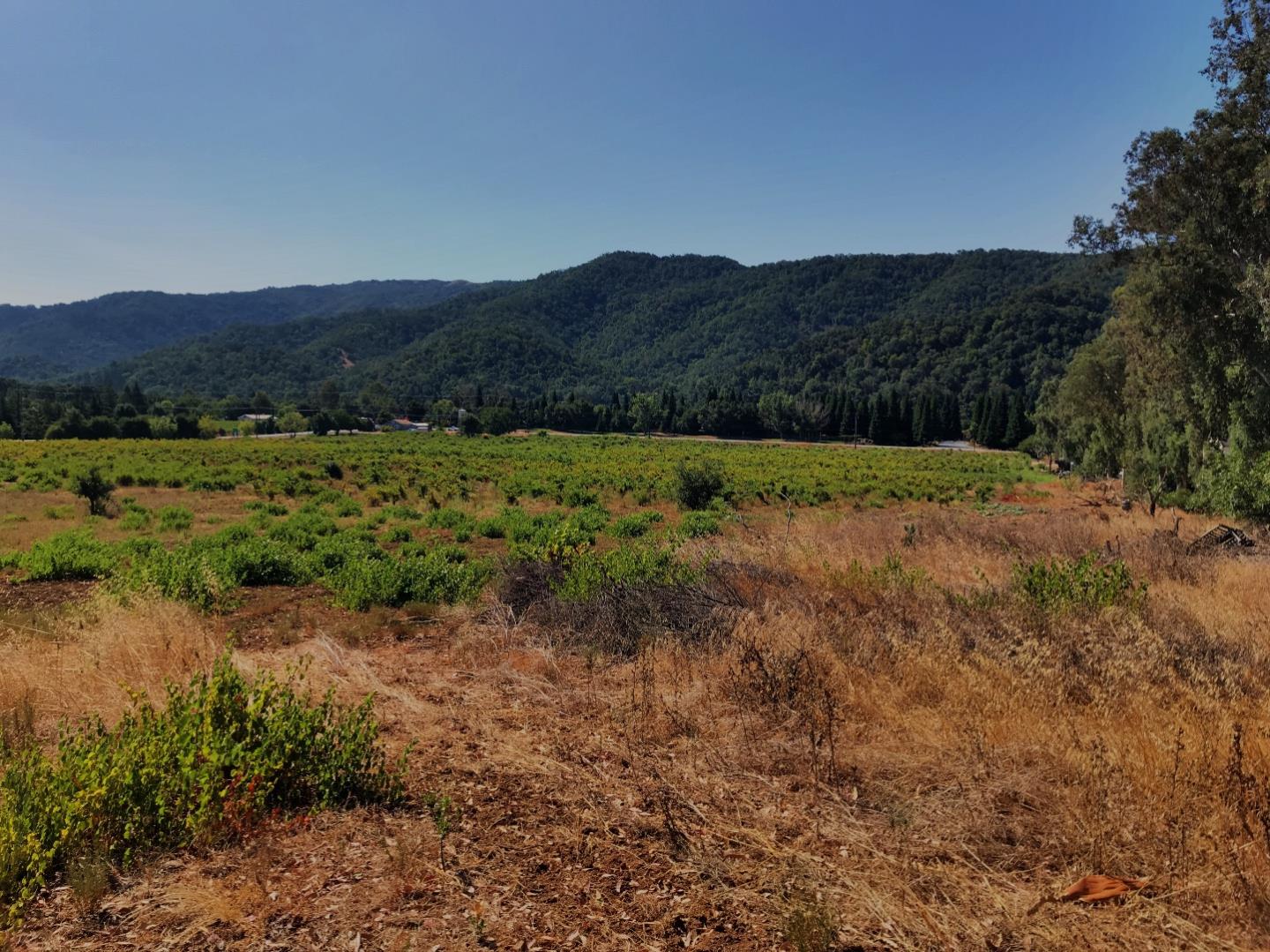 8265 A Watsonville Road, GILROY, California 95020, ,Lots And Land,For Sale,Watsonville Road,40963059