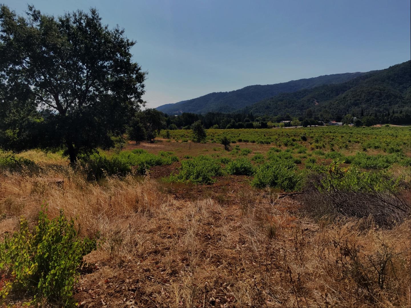 8265 A Watsonville Road, GILROY, California 95020, ,Lots And Land,For Sale,Watsonville Road,40963059