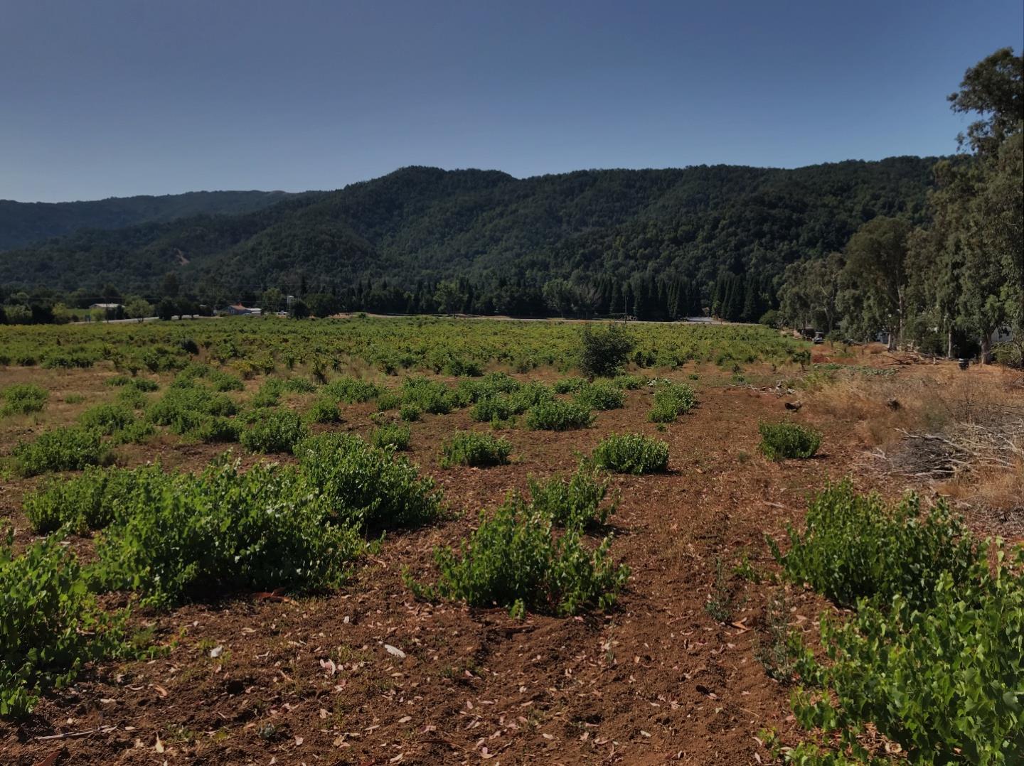 8265 A Watsonville Road, GILROY, California 95020, ,Lots And Land,For Sale,Watsonville Road,40963059