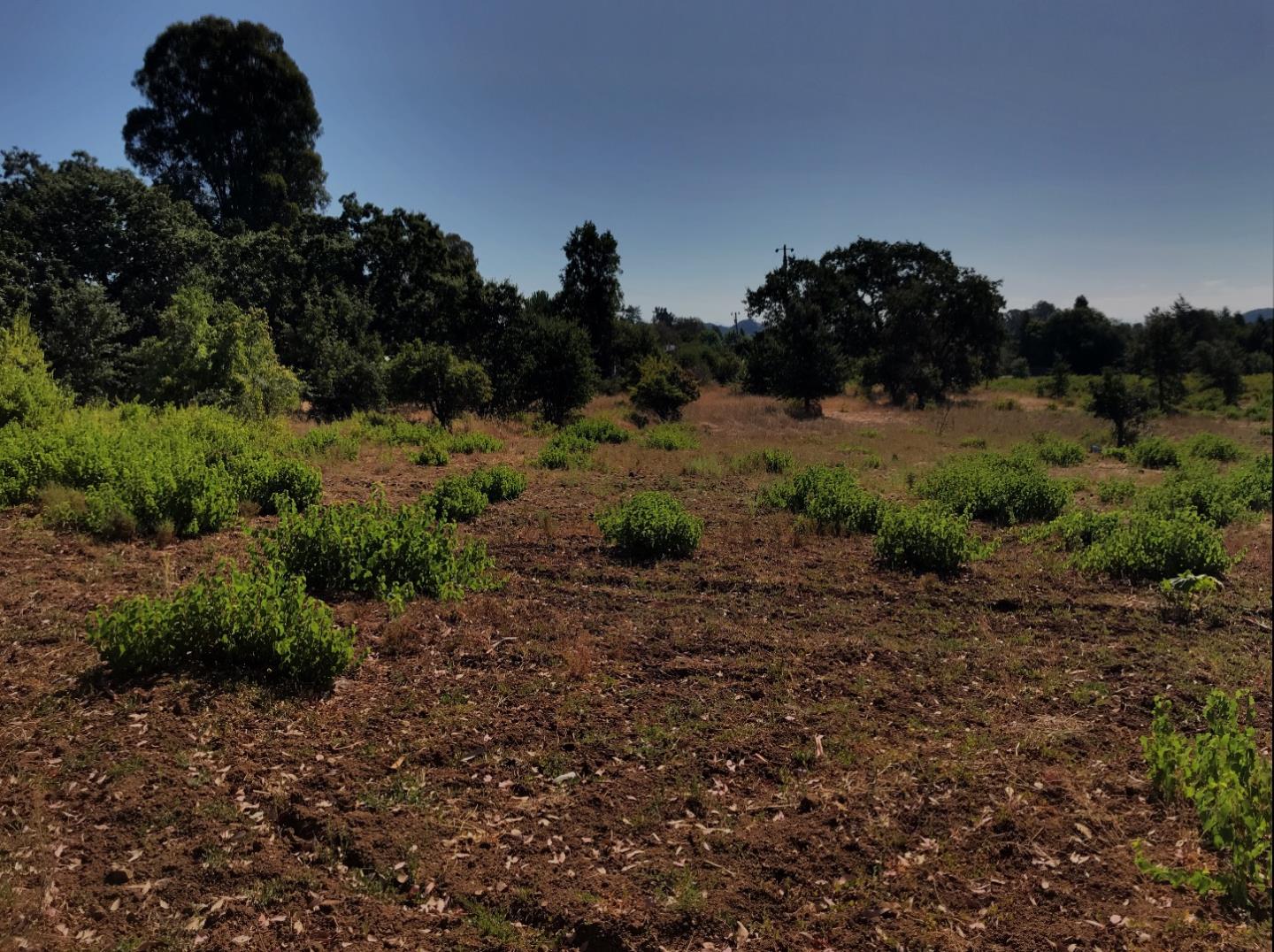 8265 A Watsonville Road, GILROY, California 95020, ,Lots And Land,For Sale,Watsonville Road,40963059