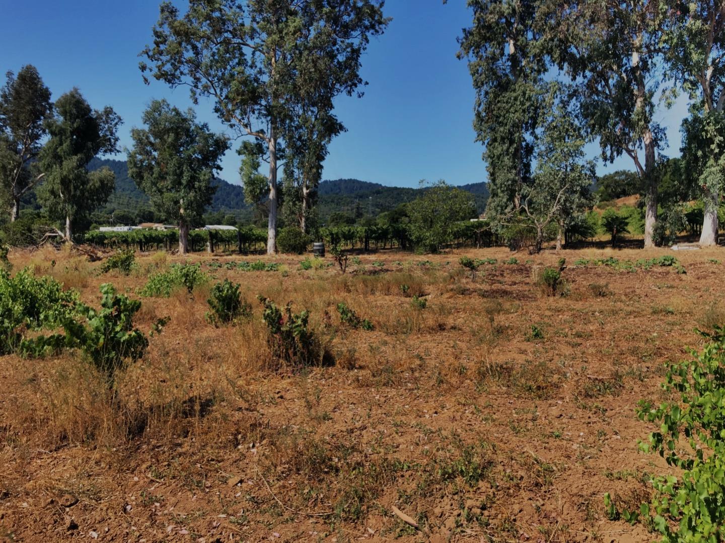 8265 A Watsonville Road, GILROY, California 95020, ,Lots And Land,For Sale,Watsonville Road,40963059