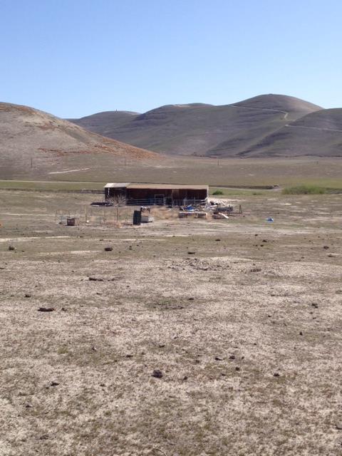 55730 Pine Valley Road, SAN ARDO, California 93450, ,Lots And Land,For Sale,Pine Valley Road,40965741