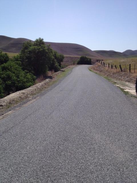 55730 Pine Valley Road, SAN ARDO, California 93450, ,Lots And Land,For Sale,Pine Valley Road,40965741